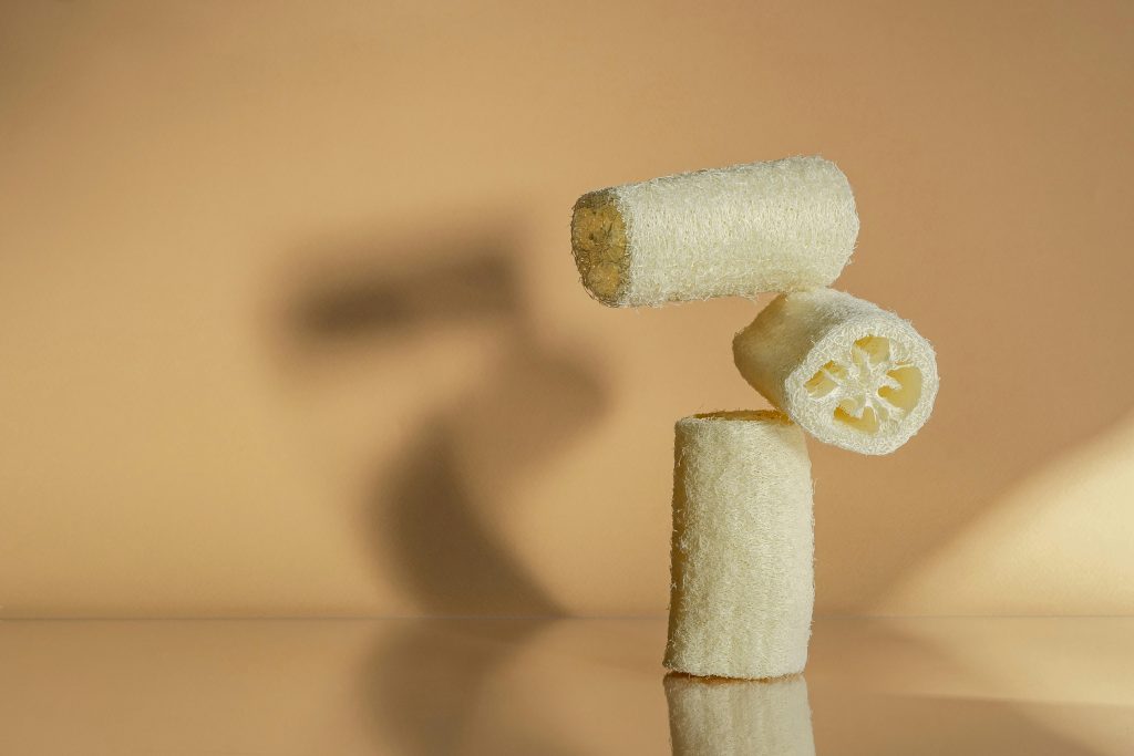 Artistic still life arrangement of three luffa sponges against a beige background.