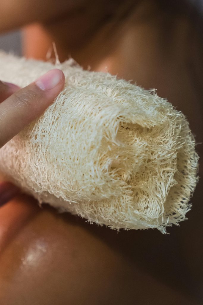 3 BENEFITS OF LUFA IN YOUR DAILY LIFE Benefits of lufa .